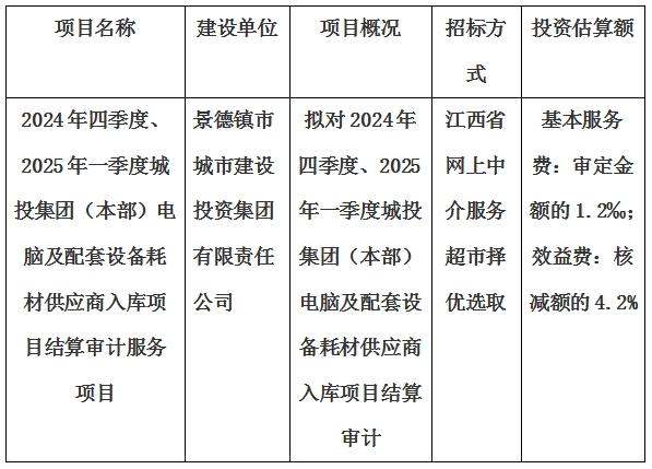 2024年四季度、2025年一季度城投集團（本部）電腦及配套設(shè)備耗材供應(yīng)商入庫項目結(jié)算審計服務(wù)項目計劃公告
